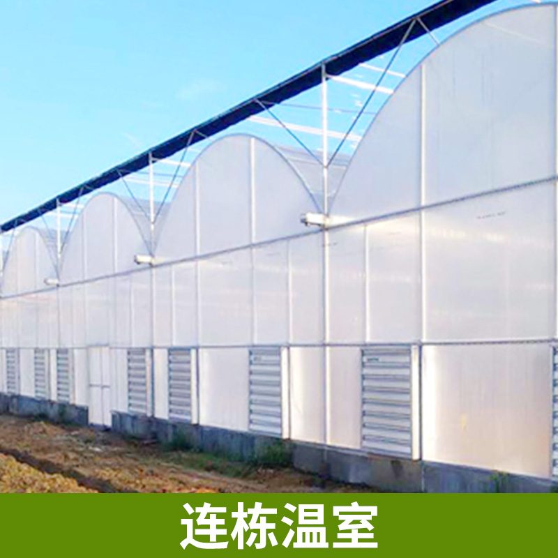 蔬菜大棚圖片/蔬菜大棚樣板圖 (2)