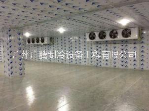 食品保鮮冷庫(kù)圖片