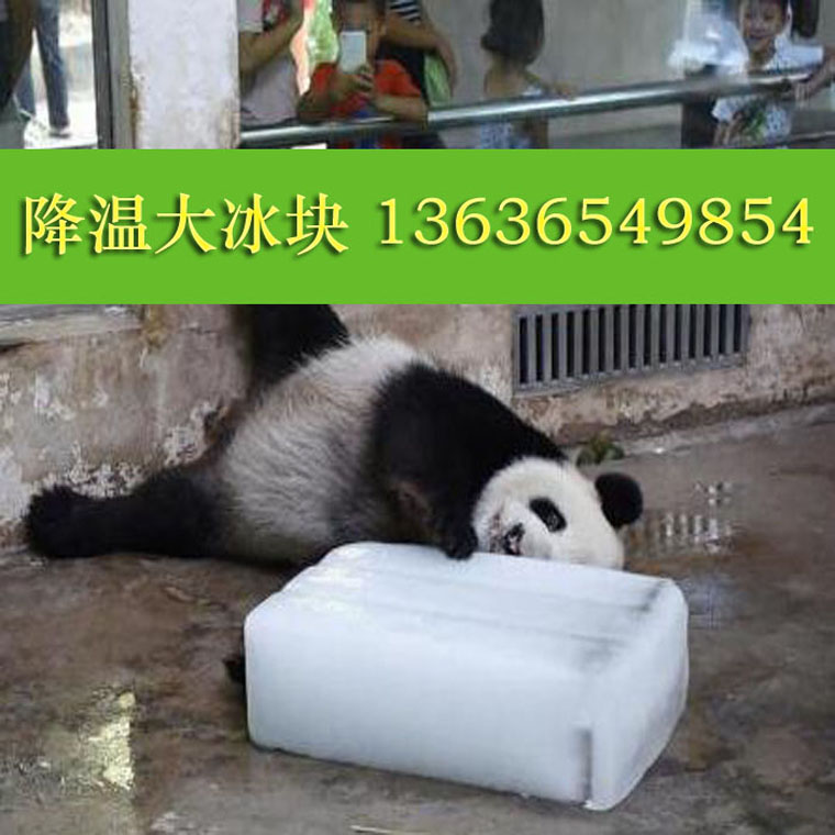 太倉降溫冰塊配送太倉制冰廠電話13636549854太倉廠房降溫冰塊價格