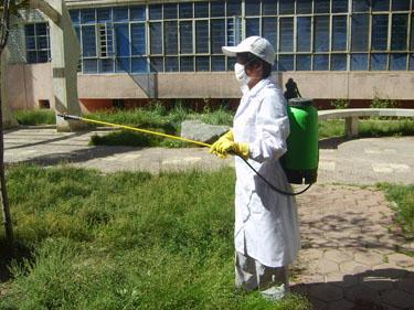 揭阳市揭阳除蚊子服务公司厂家揭阳除蚊子服务公司 揭阳杀蚊子服务价格 揭阳灭蚊子哪家好 揭阳蚊子防治服务 揭阳市白蚁防治 揭阳市白蚁防治公司