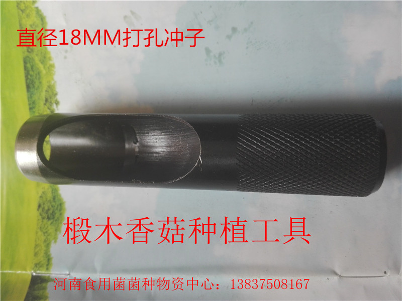 河南食用菌技術(shù)培訓(xùn)圖片