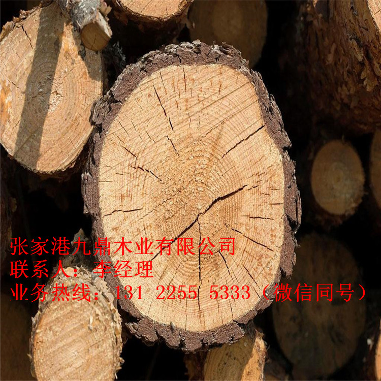 樟子松炭化木圖片/樟子松炭化木樣板圖 (4)