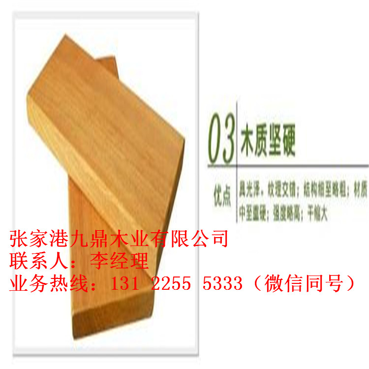 巴蒂木圖片/巴蒂木樣板圖 (2)