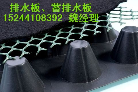 地下車(chē)庫(kù)排水板圖片/地下車(chē)庫(kù)排水板樣板圖 (3)