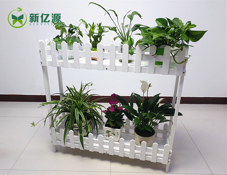 多肉花架、花架批發(fā)圖片