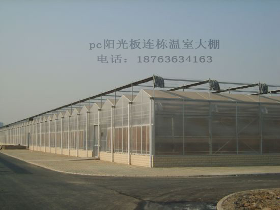 綏化黑河恒溫智能溫室大棚育苗室圖片