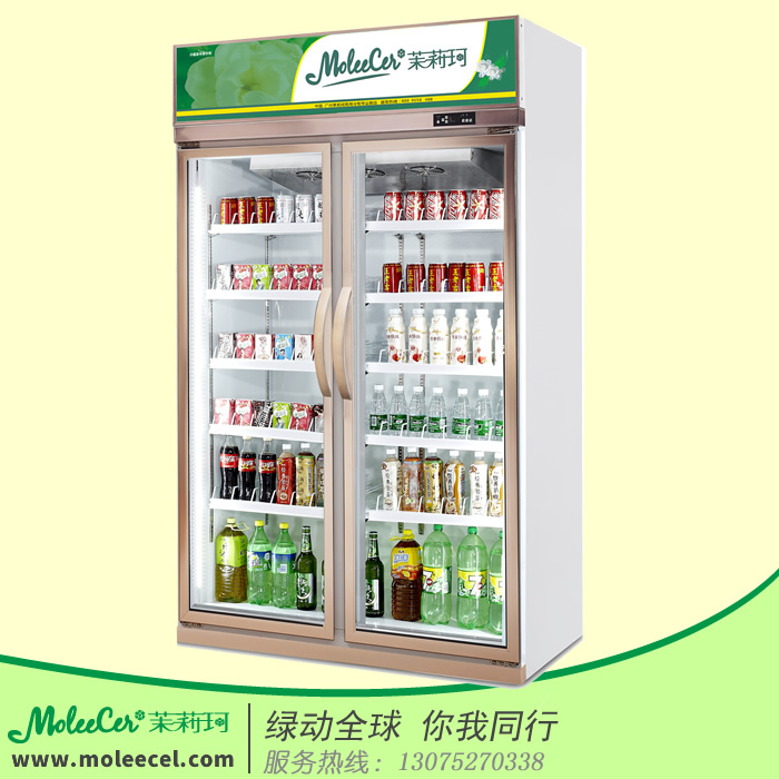 雙門冷藏展示柜圖片