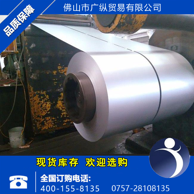 鍍鋅帶鋼圖片/鍍鋅帶鋼樣板圖 (2)