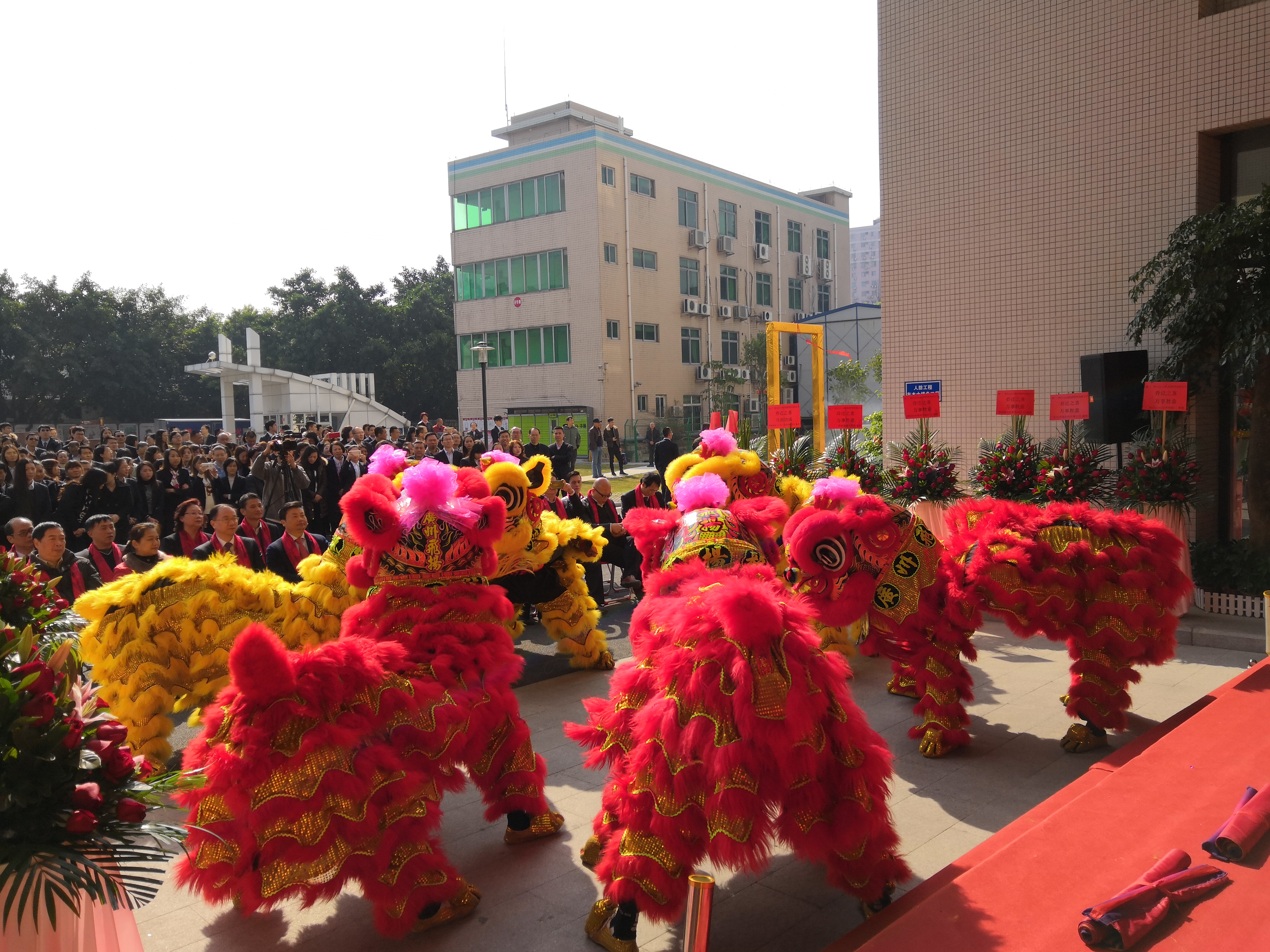 廣州龍獅團(tuán)圖片/廣州龍獅團(tuán)樣板圖 (3)