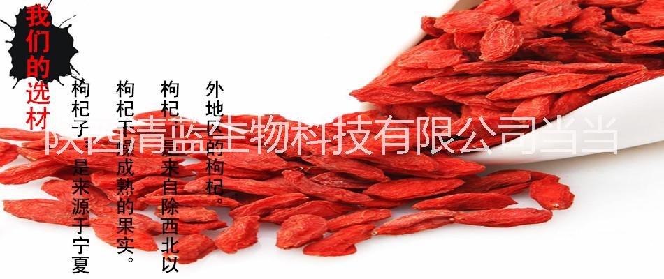 陜西清藍(lán)生物當(dāng)當(dāng)供應(yīng)--枸杞果粉圖片