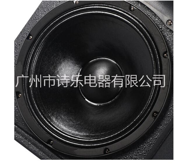 十二寸音響圖片/十二寸音響樣板圖 (4)