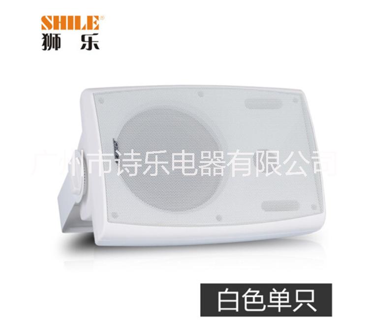 HIFI音箱 专业会议教学室内家用高保真家庭影院背景音乐壁挂式会议室音响BX102白色单只