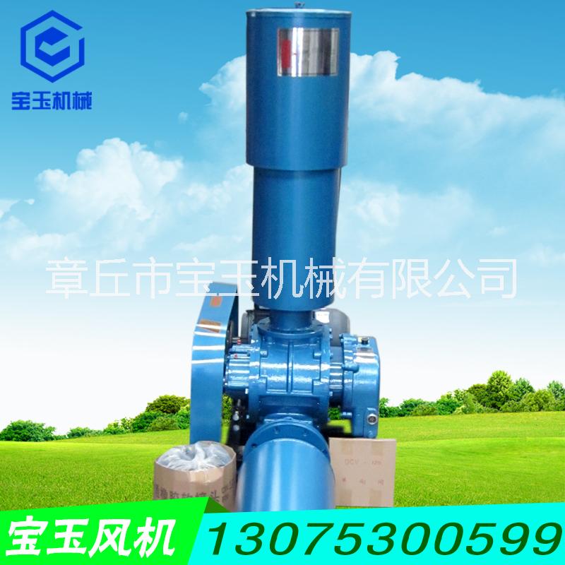 水泥輸送寶玉羅茨鼓風機圖片/水泥輸送寶玉羅茨鼓風機樣板圖 (4)