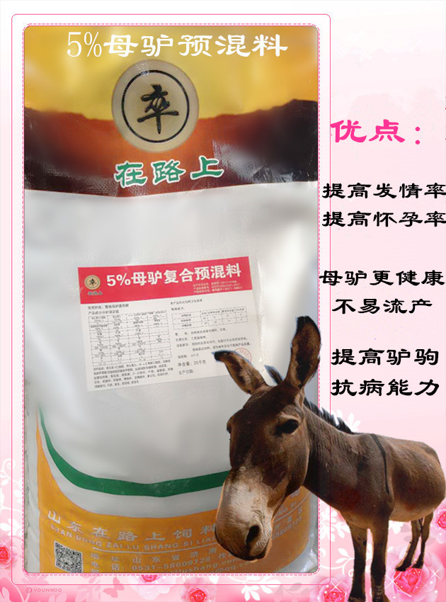 小驢駒圖片/小驢駒樣板圖 (3)