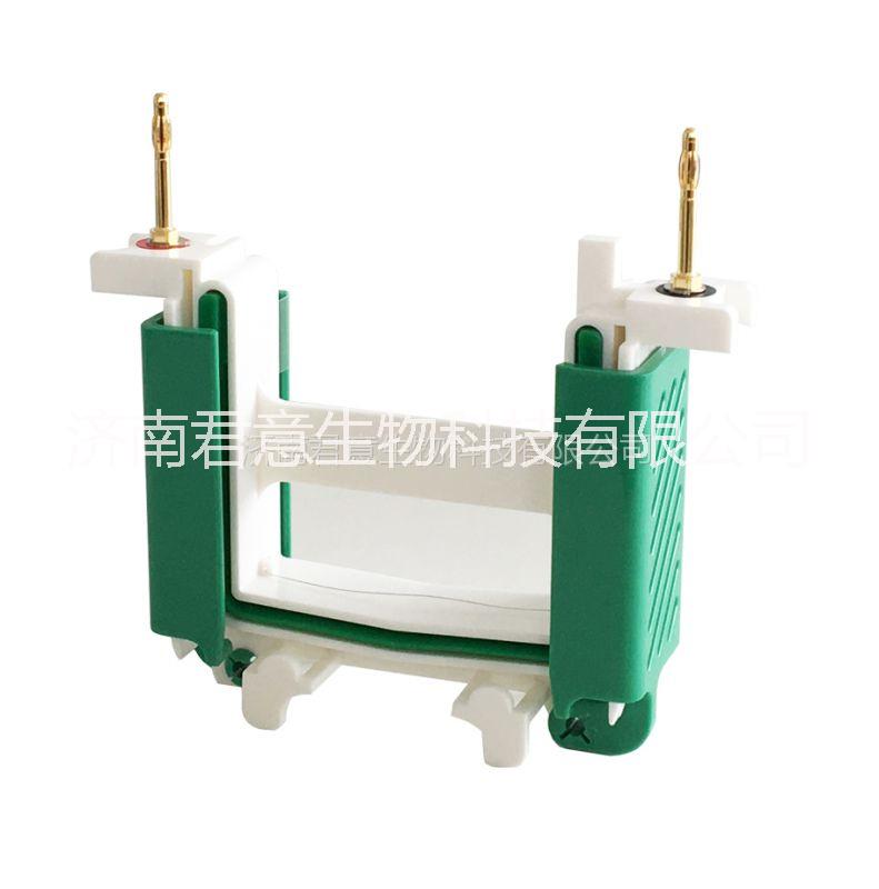 垂直電泳槽圖片/垂直電泳槽樣板圖 (3)