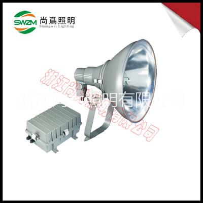 SW7530投光燈圖片