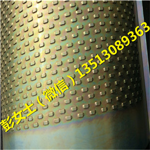 地龍圖片/地龍樣板圖 (2)