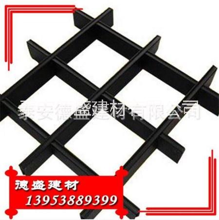 山東鋼塑土工格柵生產(chǎn)廠家低價批發(fā)圖片