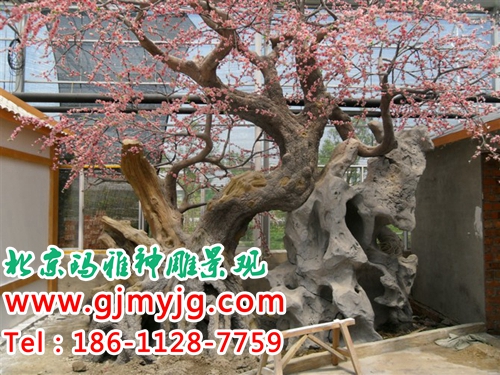 假樹圖片/假樹樣板圖 (2)