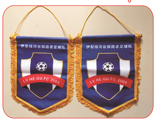 鄭州發(fā)泡燙金錦旗圖片/鄭州發(fā)泡燙金錦旗樣板圖 (3)