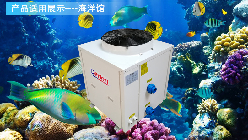 酒家專用海鮮恒溫機(jī)圖片