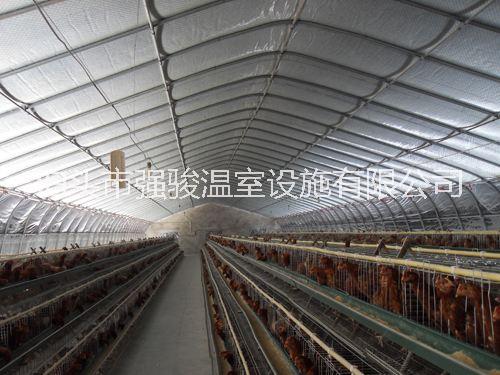 大棚骨架圖片/大棚骨架樣板圖 (1)