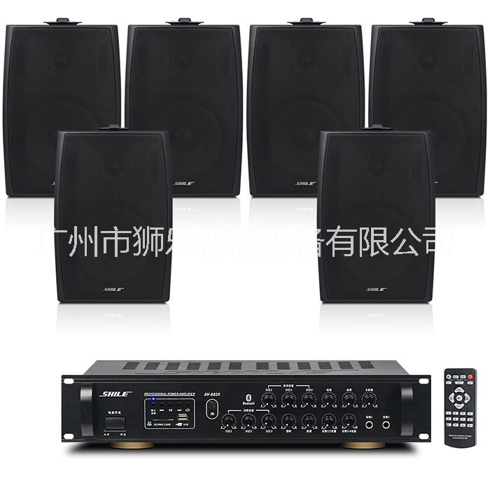 獅樂(lè)藍(lán)牙功放AV8820+壁掛音箱BX105演出培訓(xùn)設(shè)備 6.5寸會(huì)議音響套裝