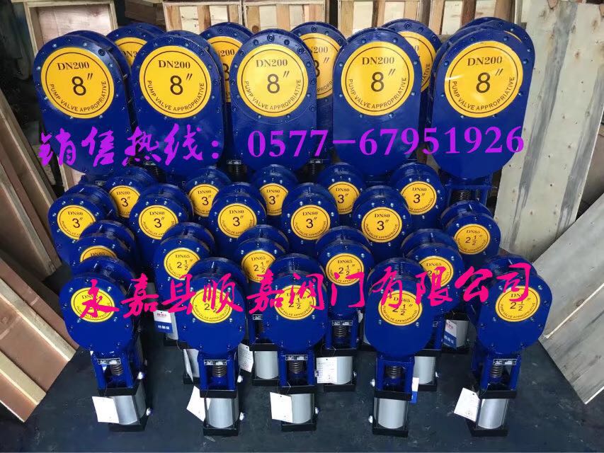 陶瓷雙閘板閥圖片/陶瓷雙閘板閥樣板圖 (2)