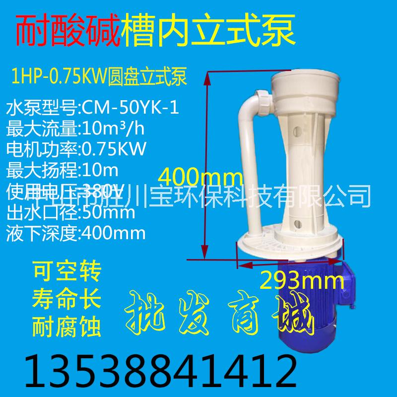 0.75KWCM-50YK-1电镀厂可空转化工立式泵（槽内泵），耐酸碱槽内泵 槽内泵 液下泵 立式泵