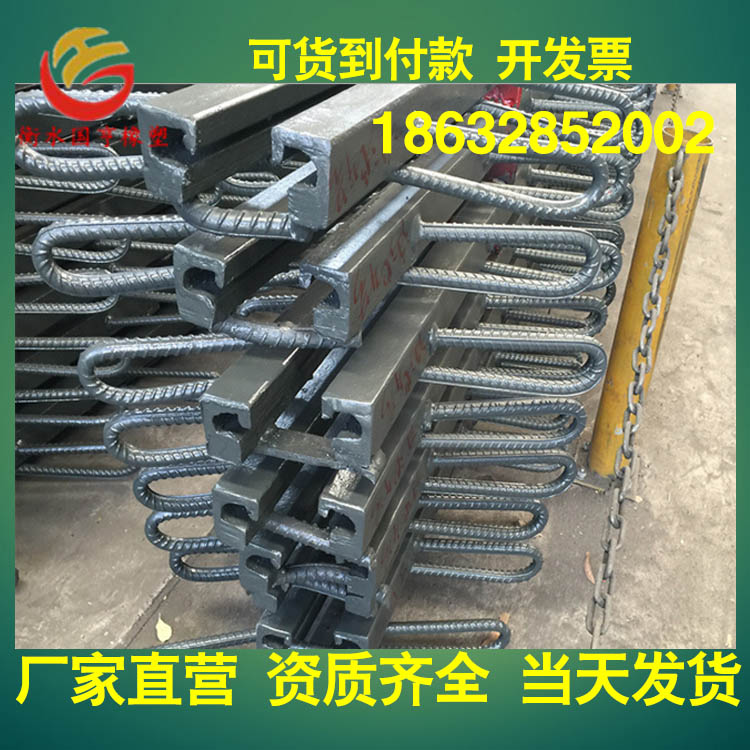 公路橋梁伸縮縫圖片/公路橋梁伸縮縫樣板圖 (3)