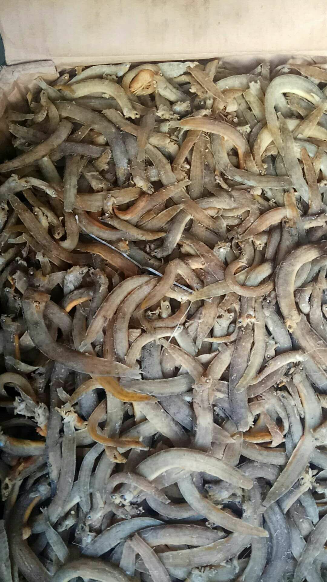 麻辣魚原料圖片/麻辣魚原料樣板圖 (2)