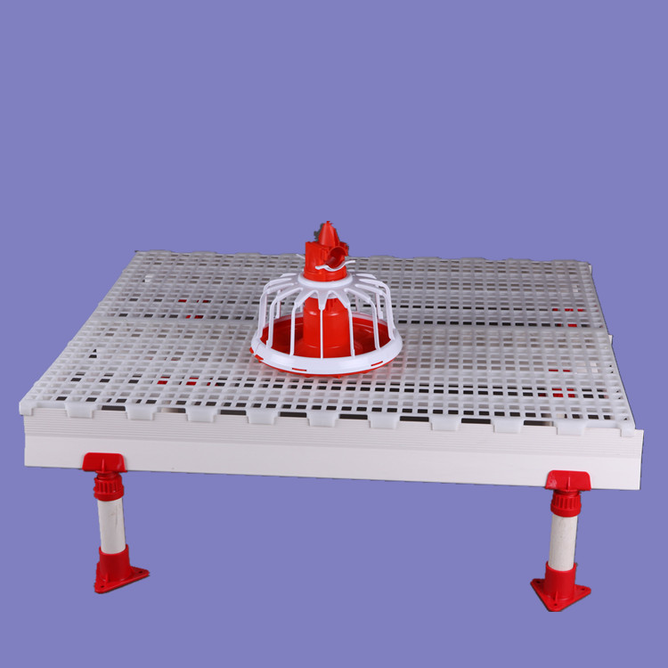 1200*500雞鴨塑料漏糞地板 育雛用漏糞地板 雞用漏糞地板