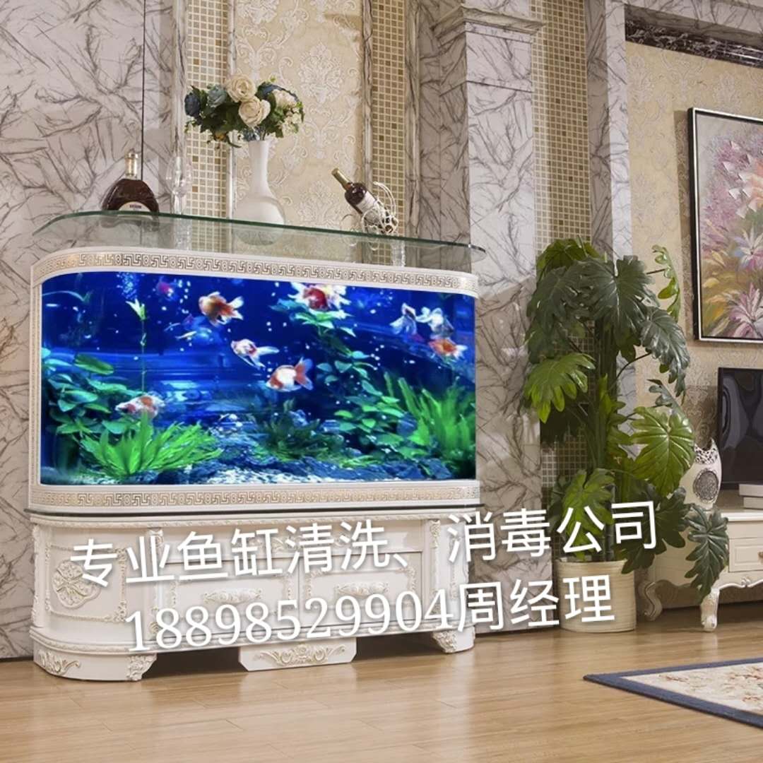 魚缸清洗 護(hù)理魚缸