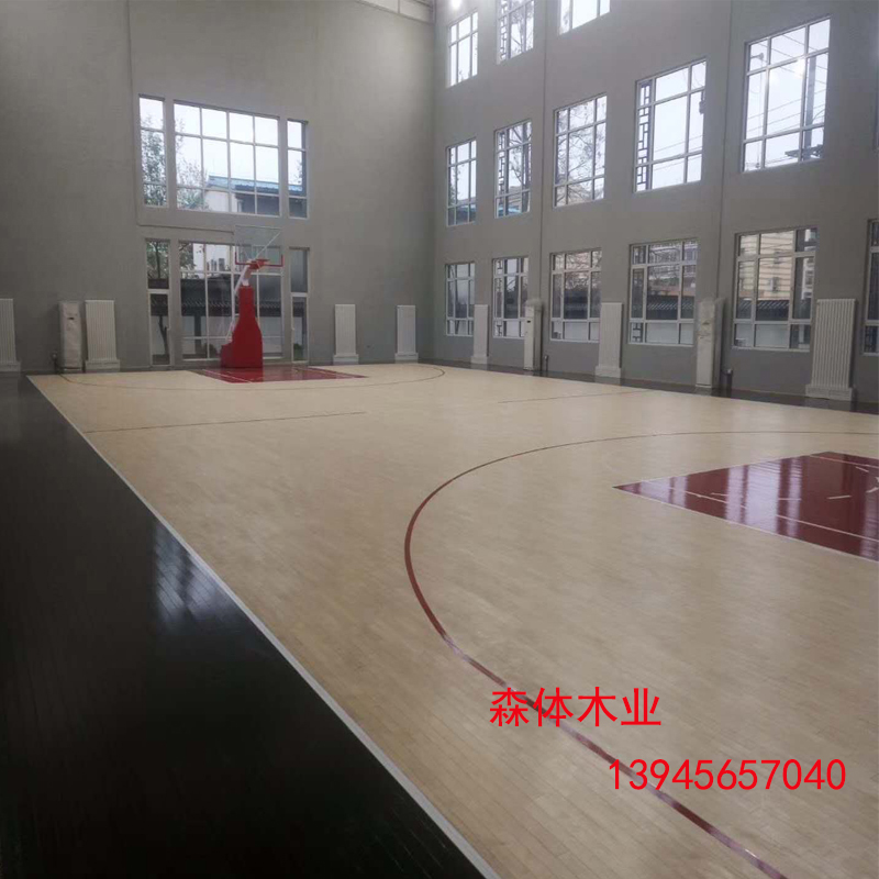 羽毛球圖片/羽毛球樣板圖 (2)