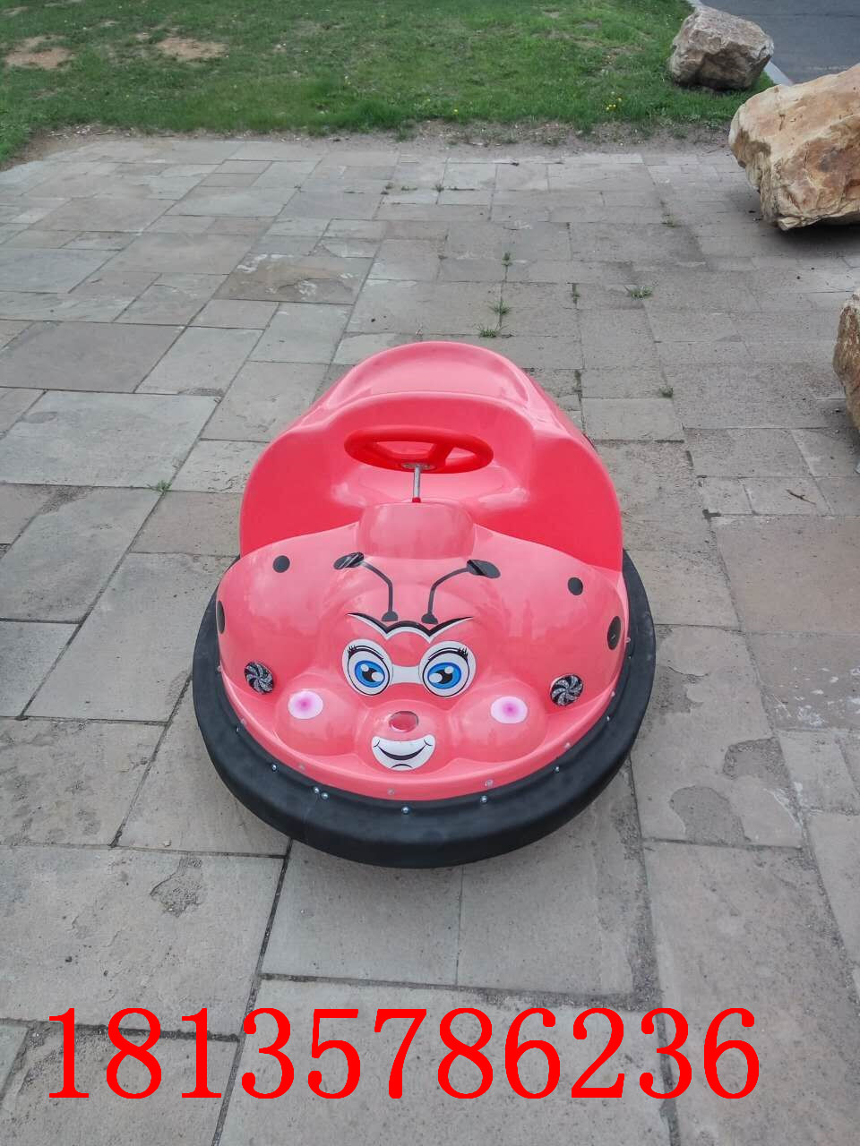 蟲碰碰車圖片/蟲碰碰車樣板圖 (3)