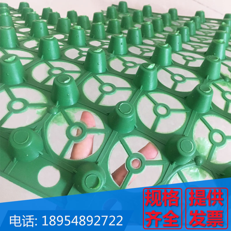 復(fù)合排水板圖片/復(fù)合排水板樣板圖 (3)