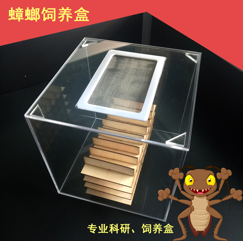 蟑螂誘捕器圖片/蟑螂誘捕器樣板圖 (3)