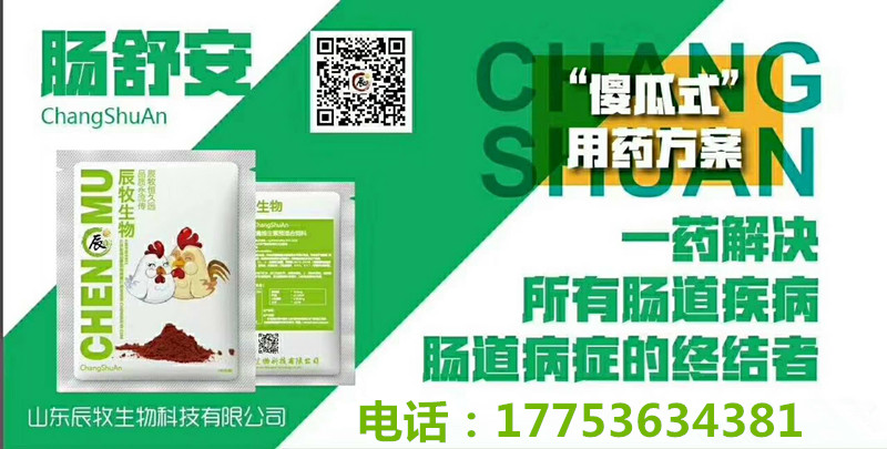 禽拉稀圖片/禽拉稀樣板圖 (3)