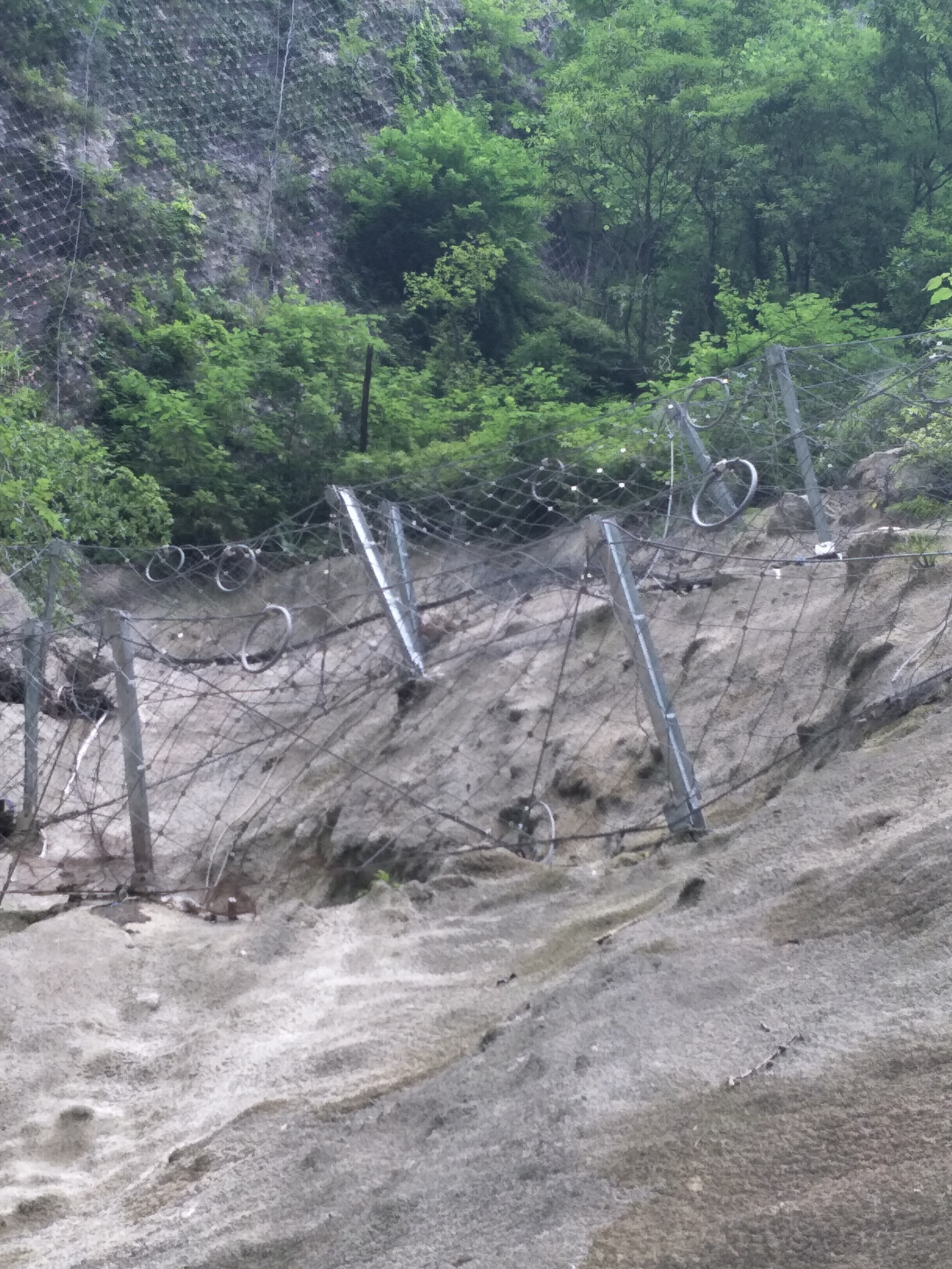 被動邊坡防護(hù)網(wǎng)圖片/被動邊坡防護(hù)網(wǎng)樣板圖 (4)