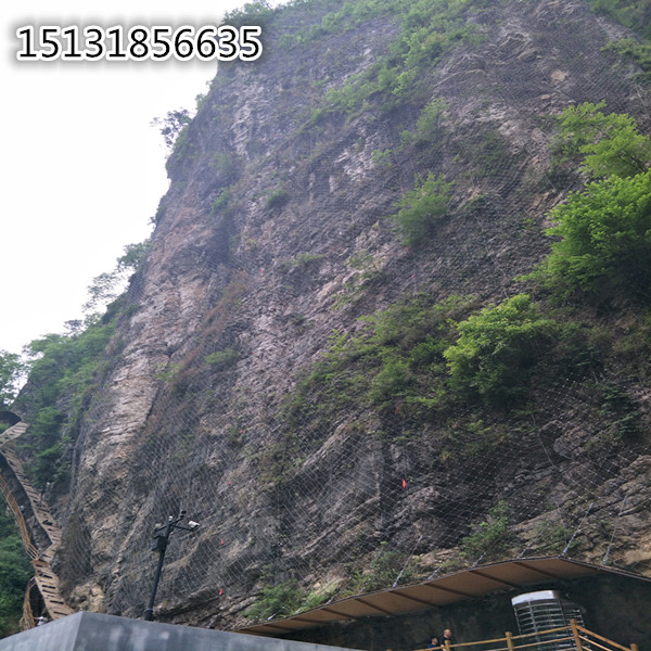 被動邊坡防護(hù)網(wǎng)圖片/被動邊坡防護(hù)網(wǎng)樣板圖 (2)