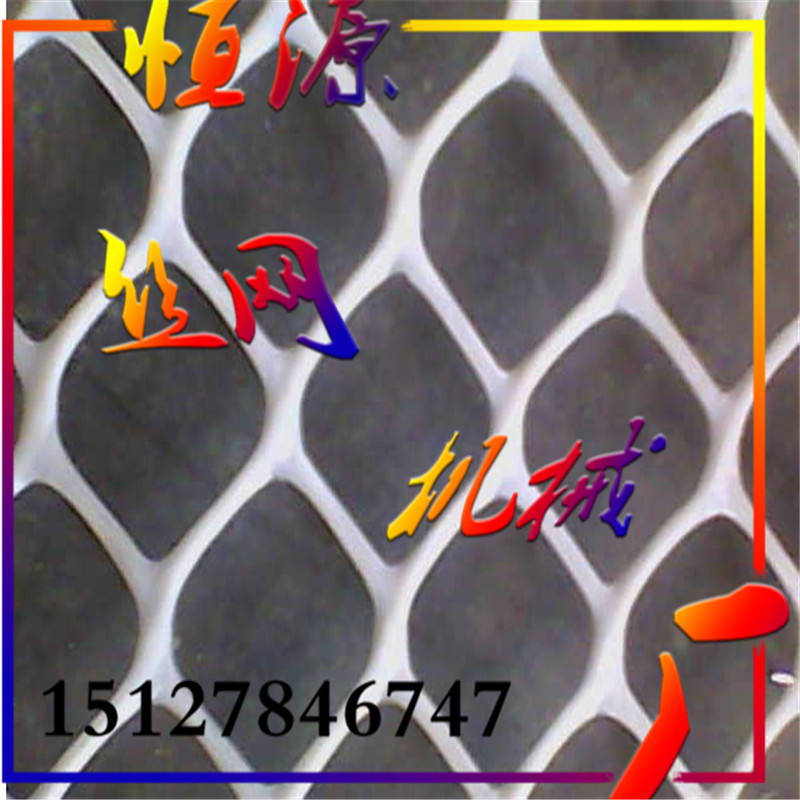 塑料平網(wǎng)生產(chǎn)線 養(yǎng)殖網(wǎng)*塑料平網(wǎng)機(jī)  席夢(mèng)思床墊網(wǎng)機(jī)