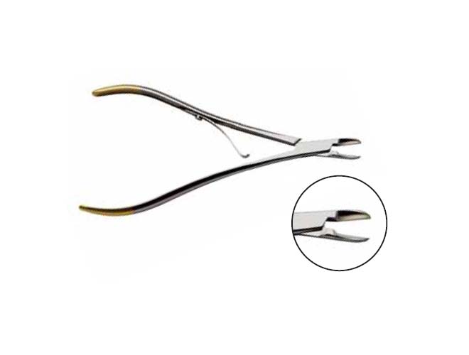 寵物牙挫多少錢