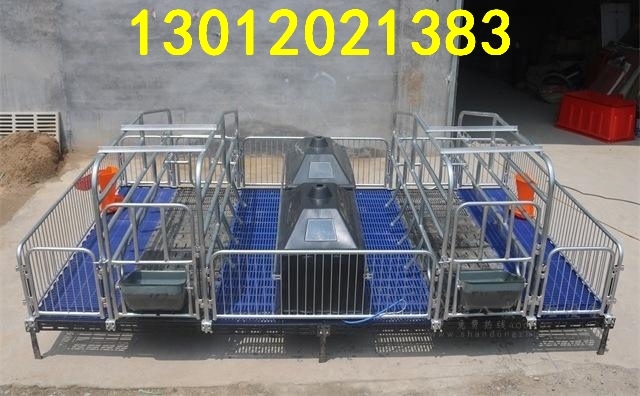 母豬分娩床圖片/母豬分娩床樣板圖 (3)