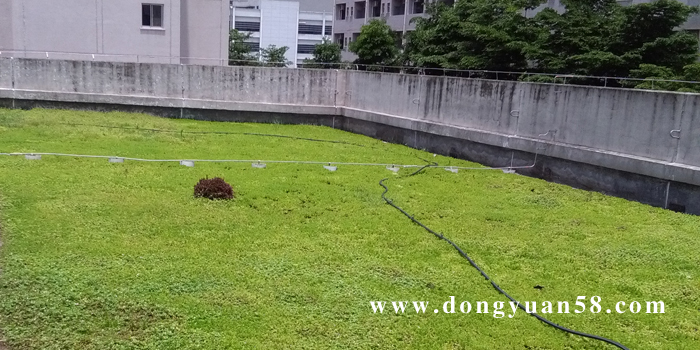 深圳市楼顶花园屋顶草坪轻型屋顶绿化厂家