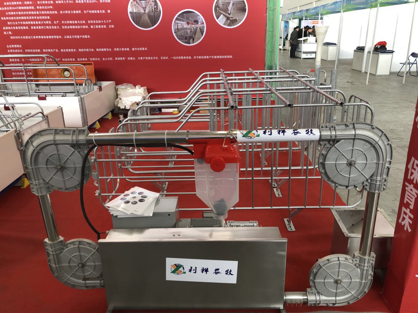 豬用自動料線圖片/豬用自動料線樣板圖 (4)