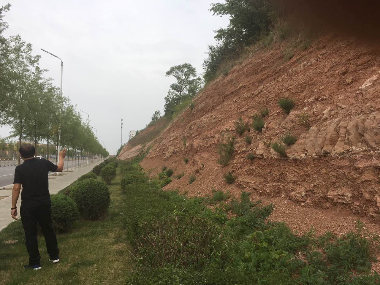 植生袋圖片/植生袋樣板圖 (1)