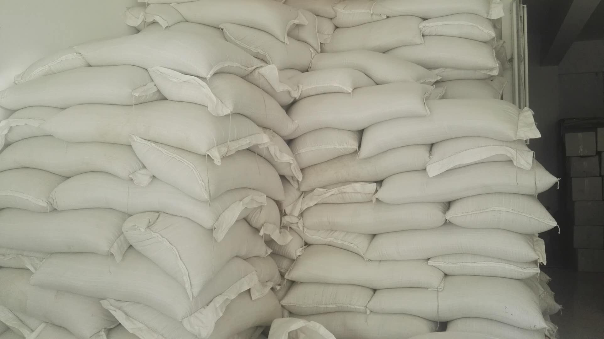 白芥籽圖片/白芥籽樣板圖 (4)