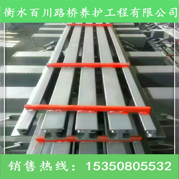 橋梁伸縮縫圖片/橋梁伸縮縫樣板圖 (3)