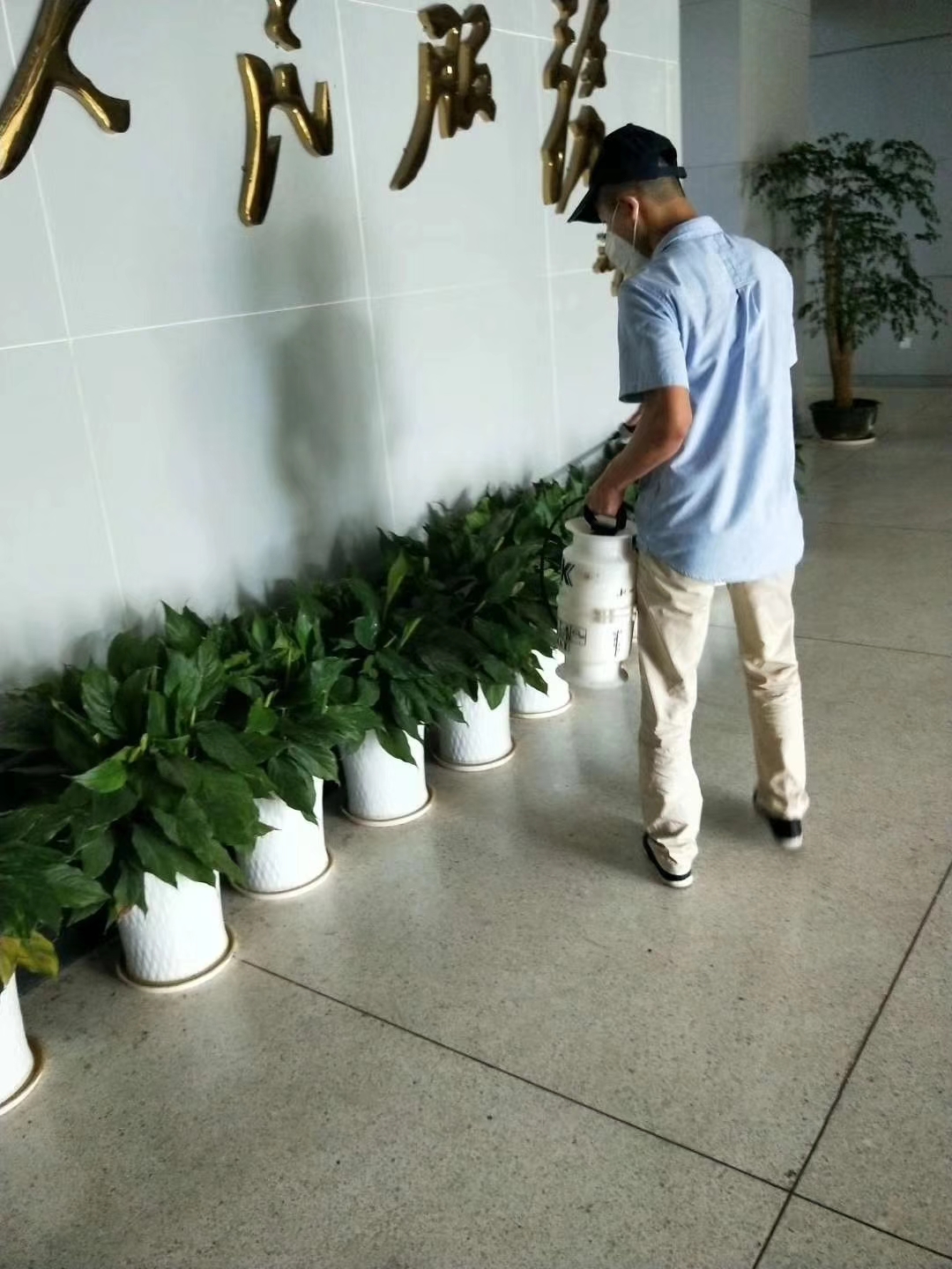 滅蚊蠅圖片/滅蚊蠅樣板圖 (1)