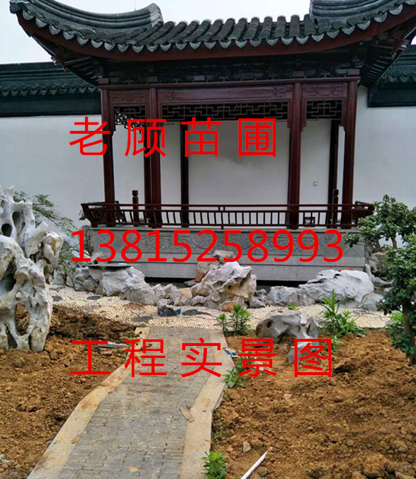 別墅庭院綠化圖片/別墅庭院綠化樣板圖 (4)